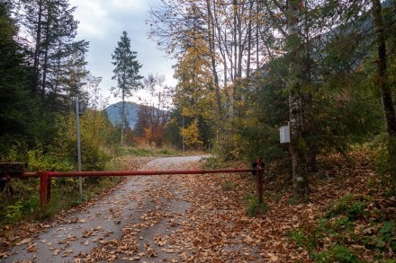 Vom Plansee zum Schelleleskopf, Zwieselberg, Hochjoch und den Soldatenköpfe