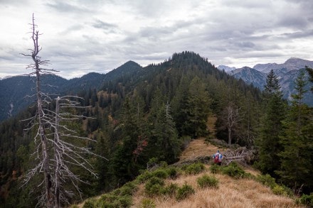 Tirol: Schelleleskopf (Reutte)