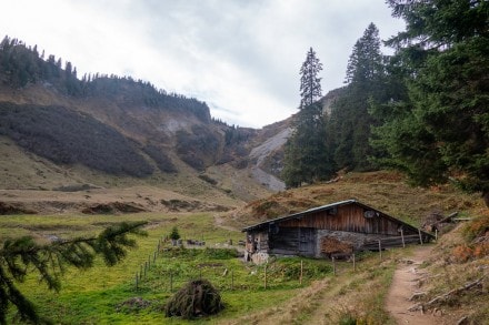 Kleinwalser Tal: Obere Walmendinger Alpe (Rietzlern)