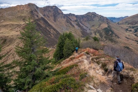 Kleinwalser Tal: Vom Walmendinger Horn über den Muttelbergkopf und Ochsenhöfer Köpfle auf das Grünhorn (Rietzlern)