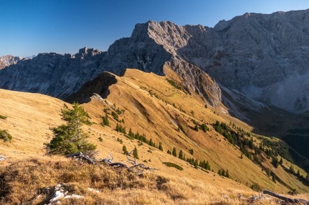 Oberallgäu: Von der Obere Schwarzenbergalpe auf den Großen Daumen, Kleiner Daumen, Heubatspitze und Rotspitze (Hinterstein)