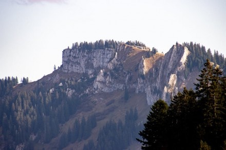 Beslerkopf
