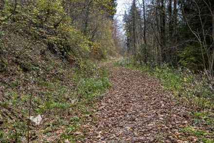 Tirol: Via Claudia Augusta (Römerstraße) (Füssen)