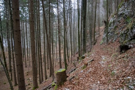 Tirol: Unterer Kitzbergweg (Füssen)