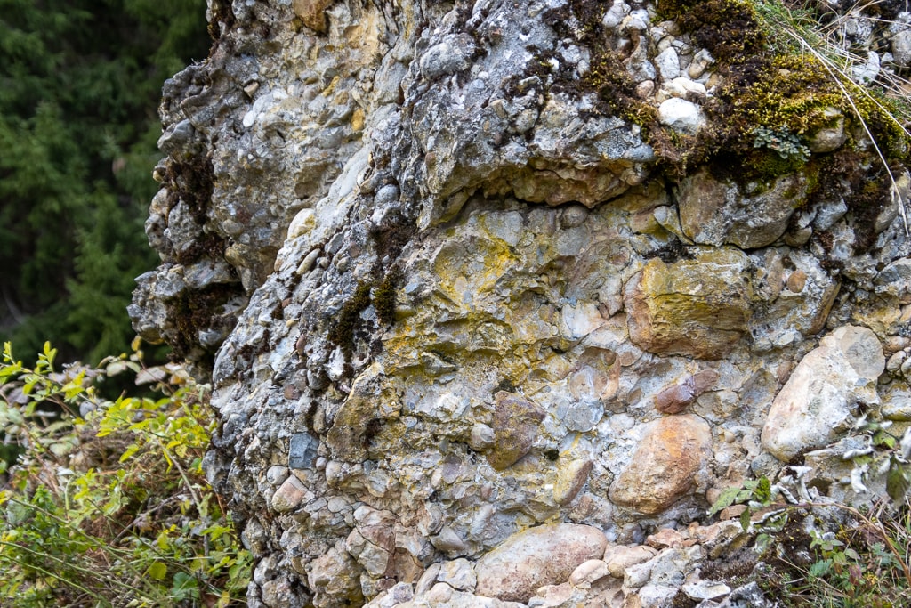 Nagelfluhgestein<br />(Balderschwang - Oberallgäu / 2019)