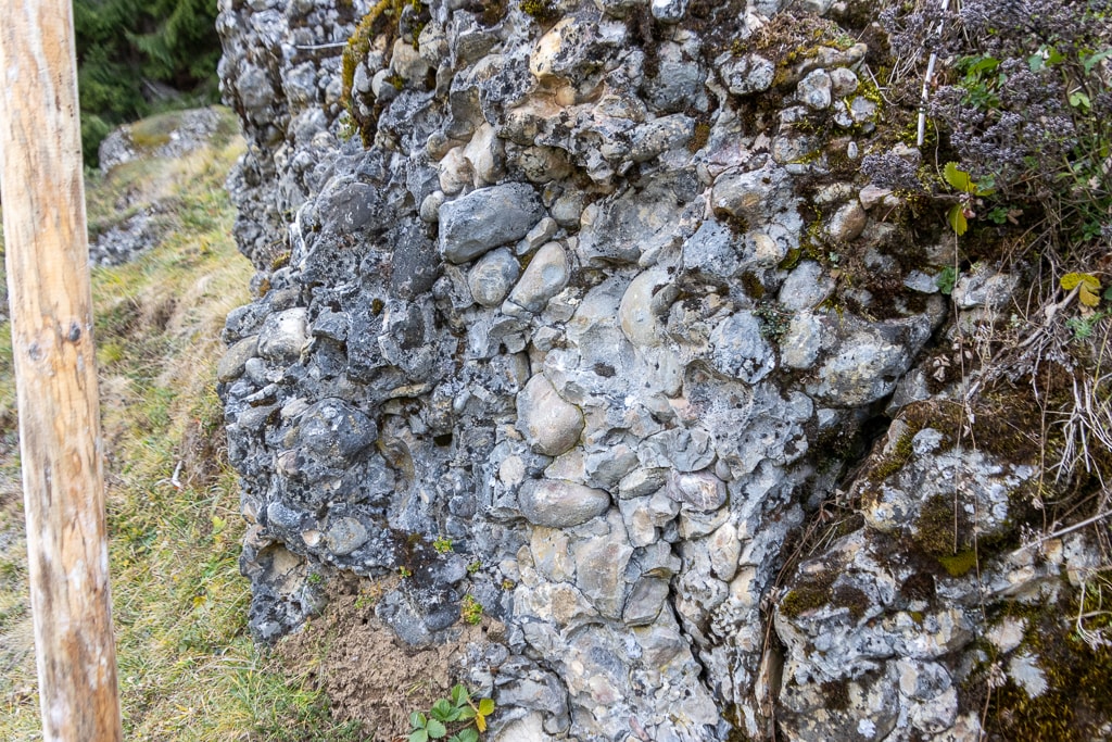 Nagelfluhgestein<br />(Balderschwang - Oberallgäu / 2019)