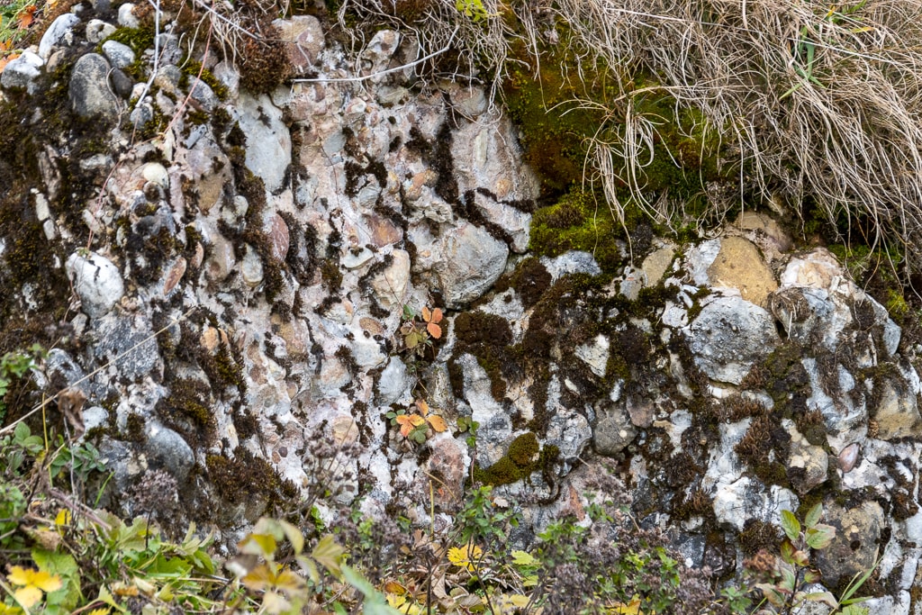 Nagelfluhgestein<br />(Balderschwang - Oberallgäu / 2019)