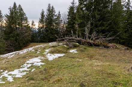 Oberallgäu: Tour (Balderschwang)