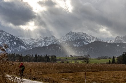 Ostallgäu: Rundwanderung Hopfensee (Füssen)