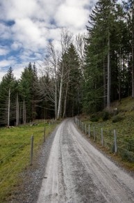 Rundtour über die Beichelsteinalpe auf den Senkelekopf