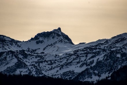 Läuferspitze
