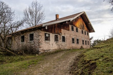 Ostallgäu: Senkele Alm (Füssen)