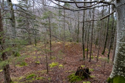 Ostallgäu: Perzenkopfes (Betzenkopf) (Füssen)