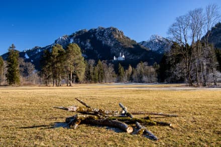 Ostallgäu: Tour (Füssen)