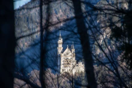 Ostallgäu: Schloss Neuschwanstein (Füssen)