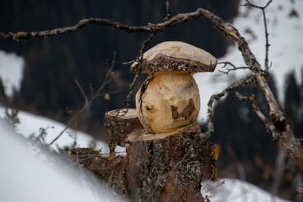 Oberallgäu: Kunst am Berg (Obermaiselstein)