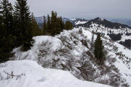 Oberallgäu: Schneeschuhtour von Obermaiselstein aus auf den Bolgen und Wannenkopf (Obermaiselstein)