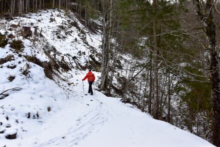 Oberallgäu: Jägersteig (Bad Hinterstein)