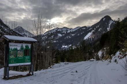 Oberallgäu: Wanderung durch das Retterschwangertal (Bad Hinterstein)