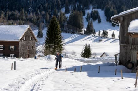 Schneeschuhtour vom Rohrmoostal aus auf den Piesenkopf