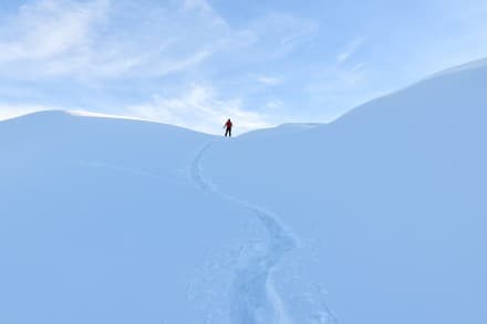 Oberallgäu: Piesenkopf (Rohrmoostal)