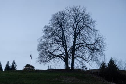 Funkenfeuer und Scheibenschießen in Niedersonthofen