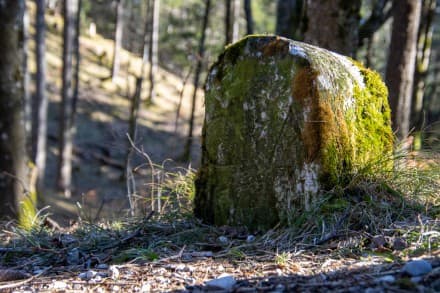 Ostallgäu: Grenzstein (Füssen)