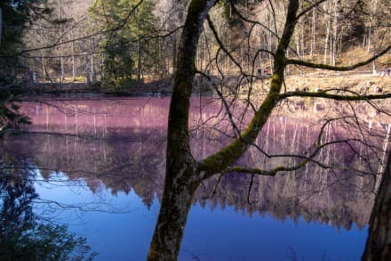 Ostallgäu: Faulenbach (Füssen)