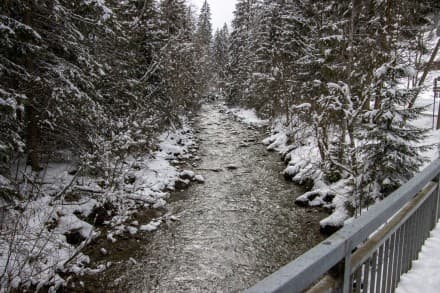 Schneeschuhtour auf den Ochsenkopf