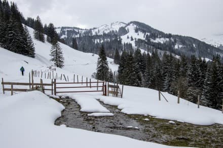Oberallgäu: Schneeschuhtour auf den Ochsenkopf (Gunzesried)