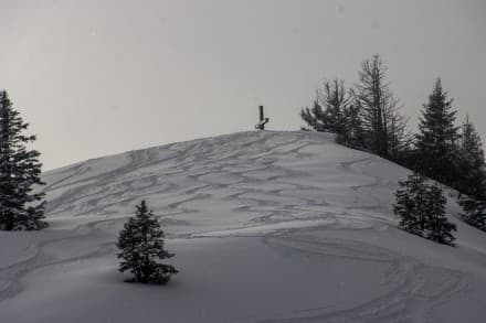 Oberallgäu: Ochsenkopf (Gunzesried)