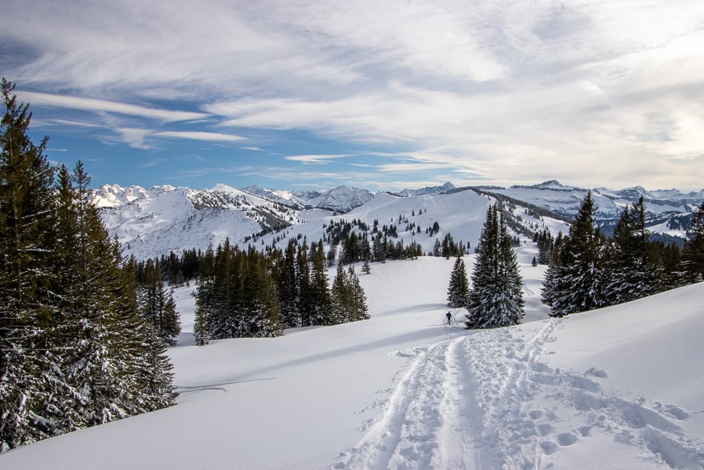 Schneeschuhtour auf den Tennenmooskopf (Balderschwang - Oberallgäu / 2020)