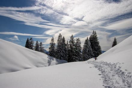 pantour: Siplingerkopf und die Obere Wilhelmine Alpe