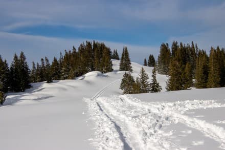 Oberallgäu: Tennenmooskopf (Balderschwang)