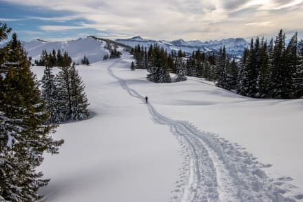 Oberallgäu: Tennenmooskopf (Balderschwang)