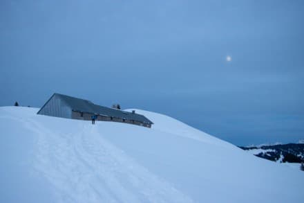 Oberallgäu: Obere Wilhelmine Alpe (Balderschwang)