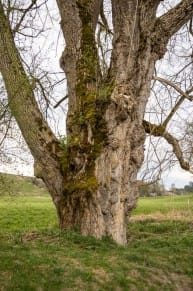 Oberallgäu: Tour (Dietmannsried)