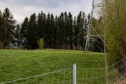 Oberallgäu: Burgstall Schlossbühl (Dietmannsried)