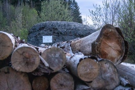 Oberallgäu: Findling aus tertiärem Nagelfluh (Dietmannsried)