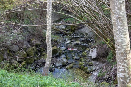 Oberallgäu: Färbertobel (Dietmannsried)