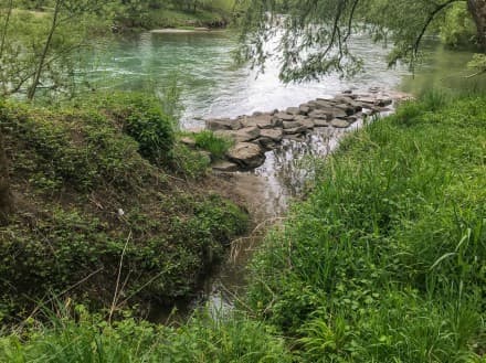 Oberallgäu: Iller (Dietmannsried)