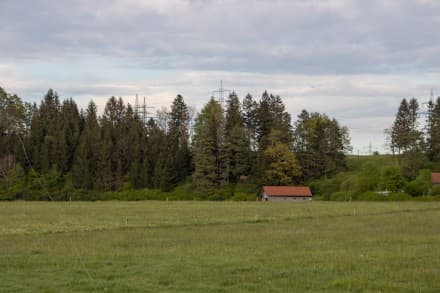 Oberallgäu: Burgstall des Mittelalters (Dietmannsried)