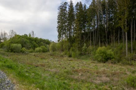 Oberallgäu: Burgstall Dietersburg und einen mittelalterlichen Burgstall am Schwarzenbach (Dietmannsried)