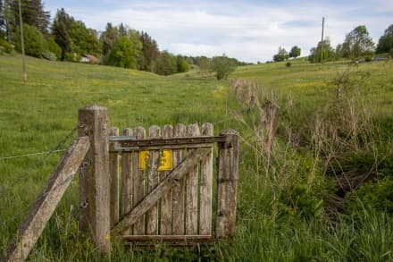 Unterallgäu: Tour (Ottobeuren)