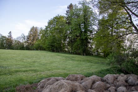 Unterallgäu: Burgstall Felsenberg (Ottobeuren)