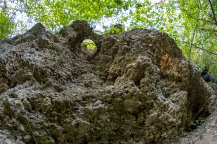 pantour: Natürliche Orgelpfeifen