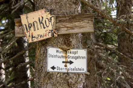 Oberallgäu:  (Obermaiselstein)