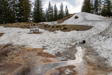 Oberallgu: Bolgengrat (Obermaiselstein)