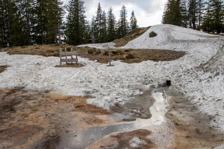 Oberallgäu: Bolgengrat (Obermaiselstein)