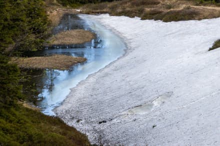 Oberallgäu: Moorsee (Obermaiselstein)